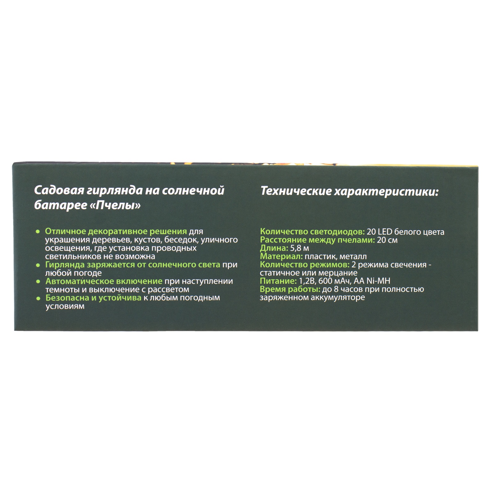 СТАРТ  САД 20Лед Пчелы - 24