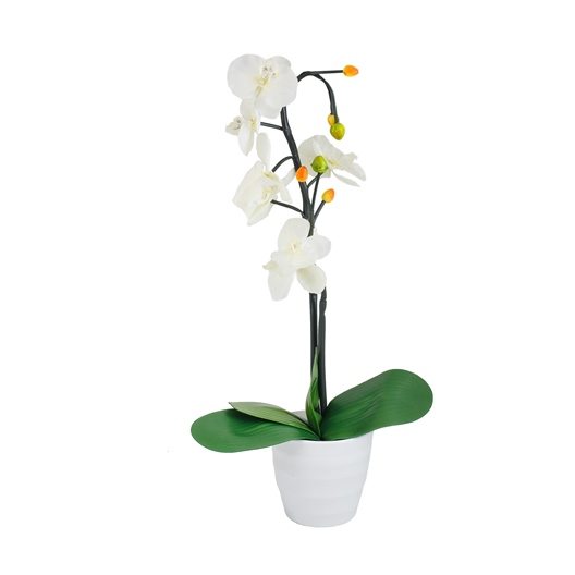 Декоративный светильник СТАРТ LED "Орхидея"  2 белый