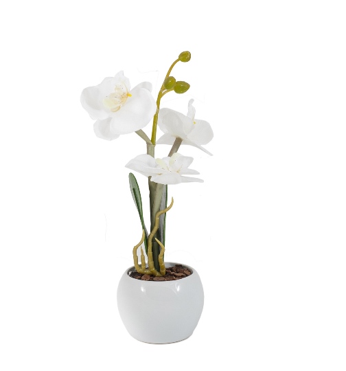 Декоративный светильник СТАРТ LED "Орхидея", белый
