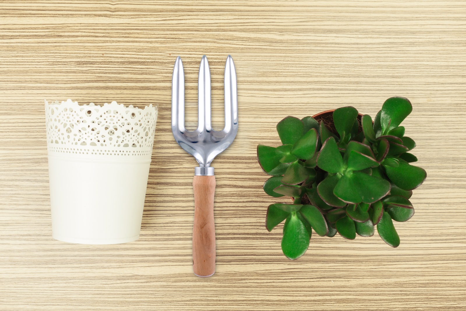 ЕГ WOOD Вилка посадочная 26,5 см - 25/100