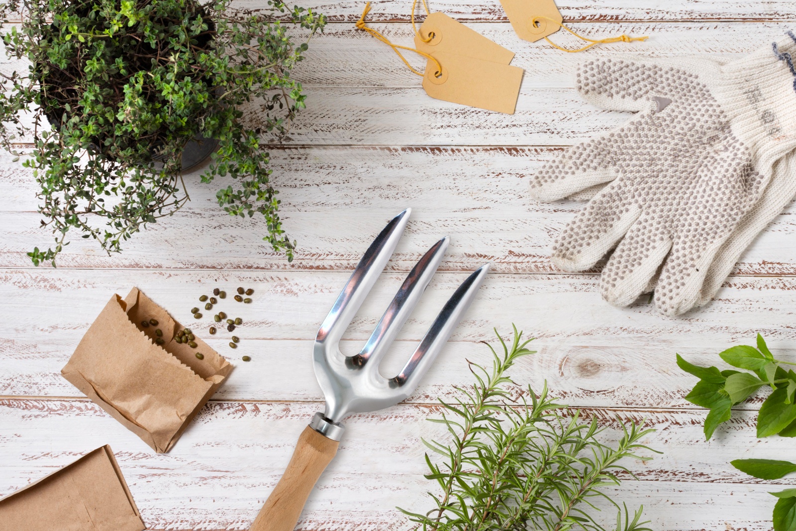 ЕГ WOOD Вилка посадочная 26,5 см - 25/100