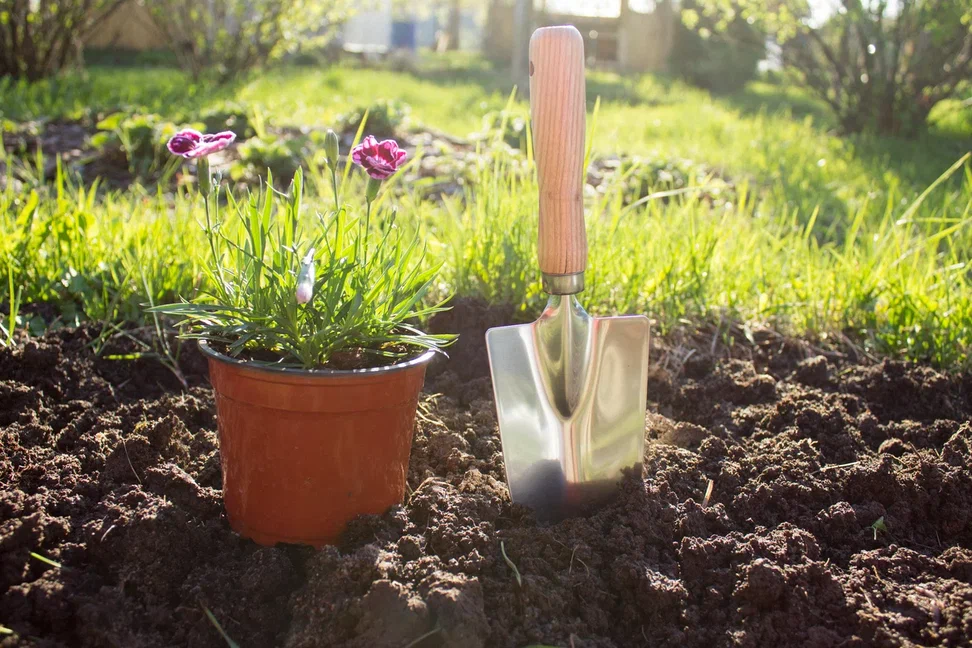 ЕГ WOOD Совок посадочный 29,5 см - 25/100