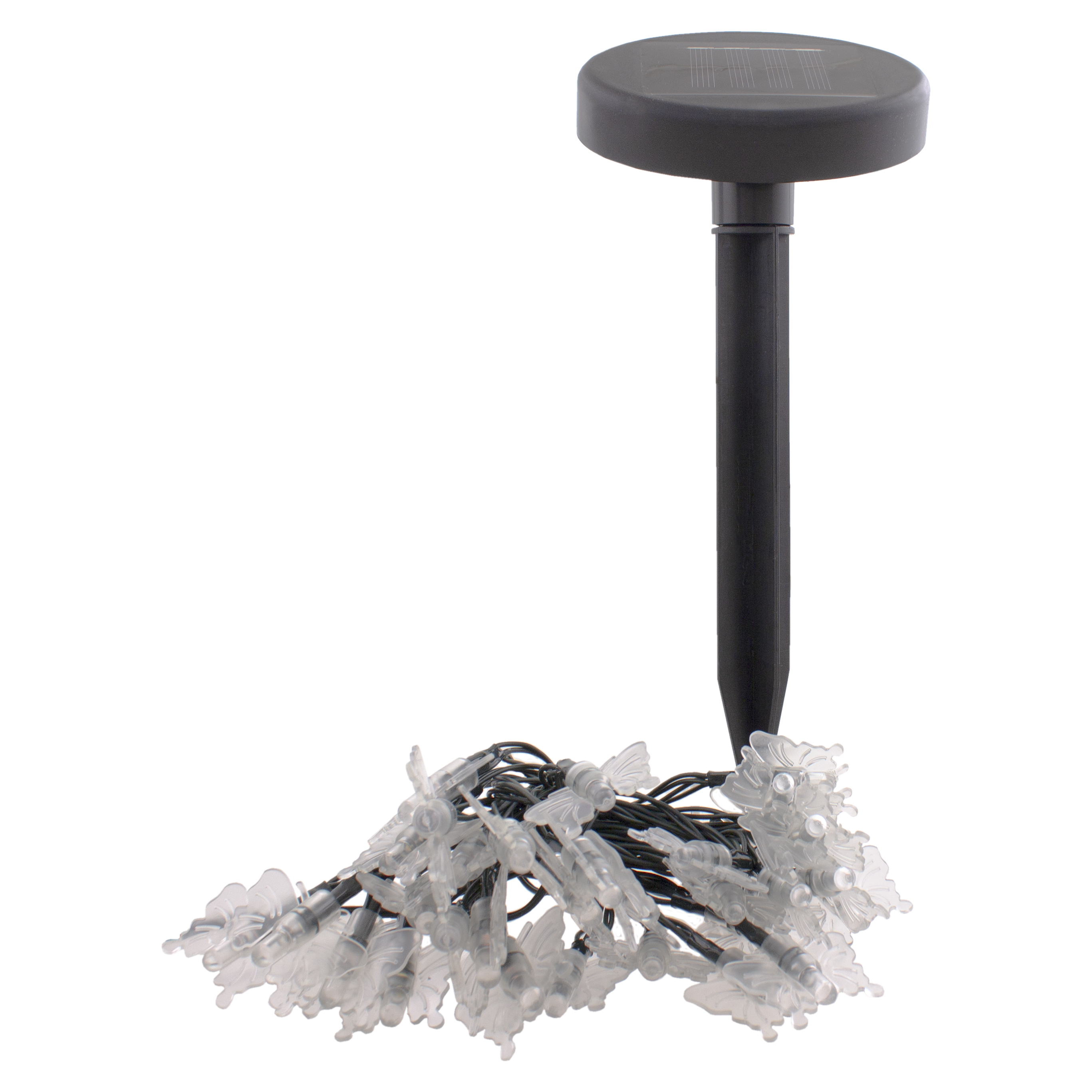 СТАРТ  САД 35Лед Бабочки - 24