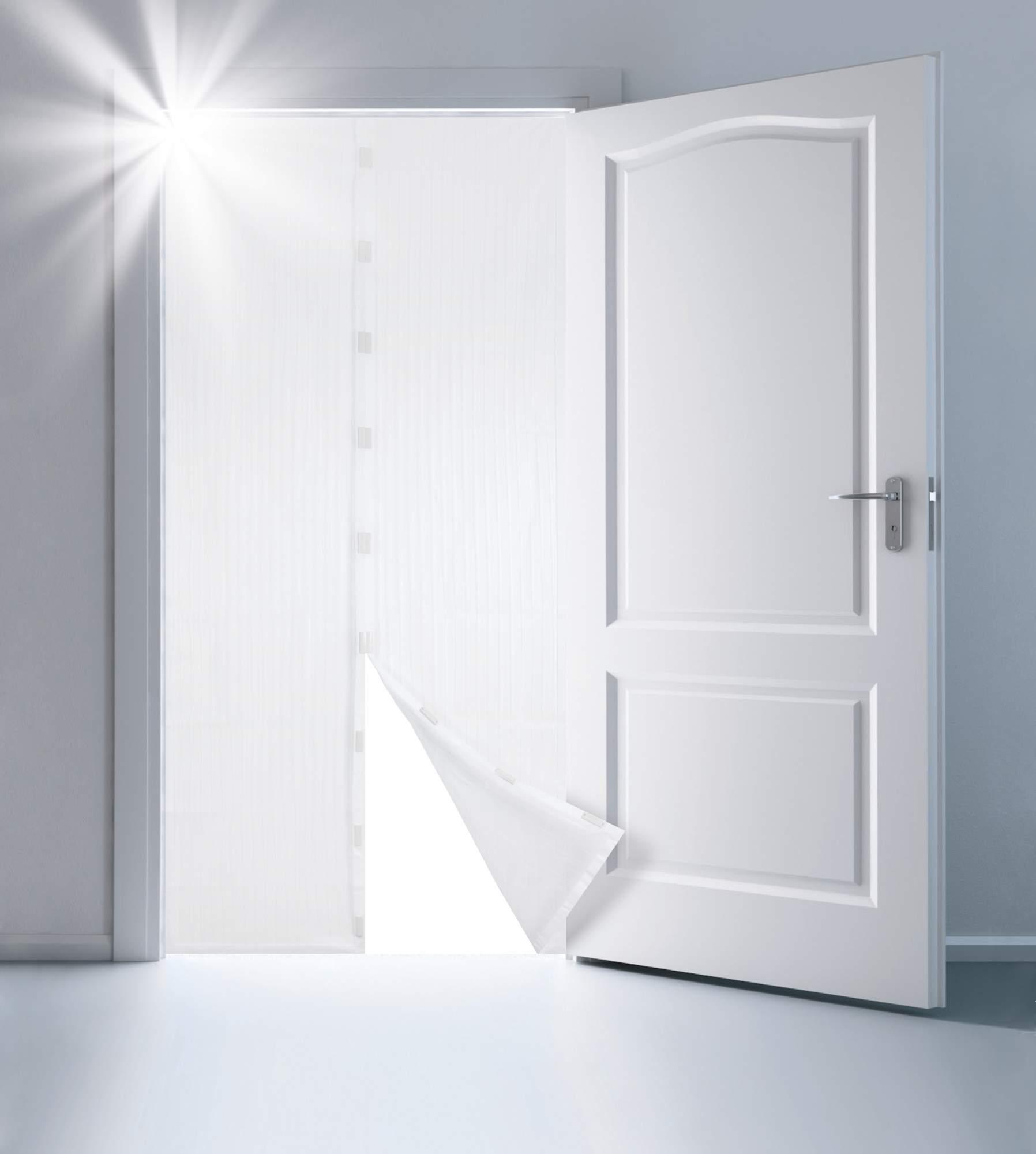 ЕГ москитная сетка белая /10