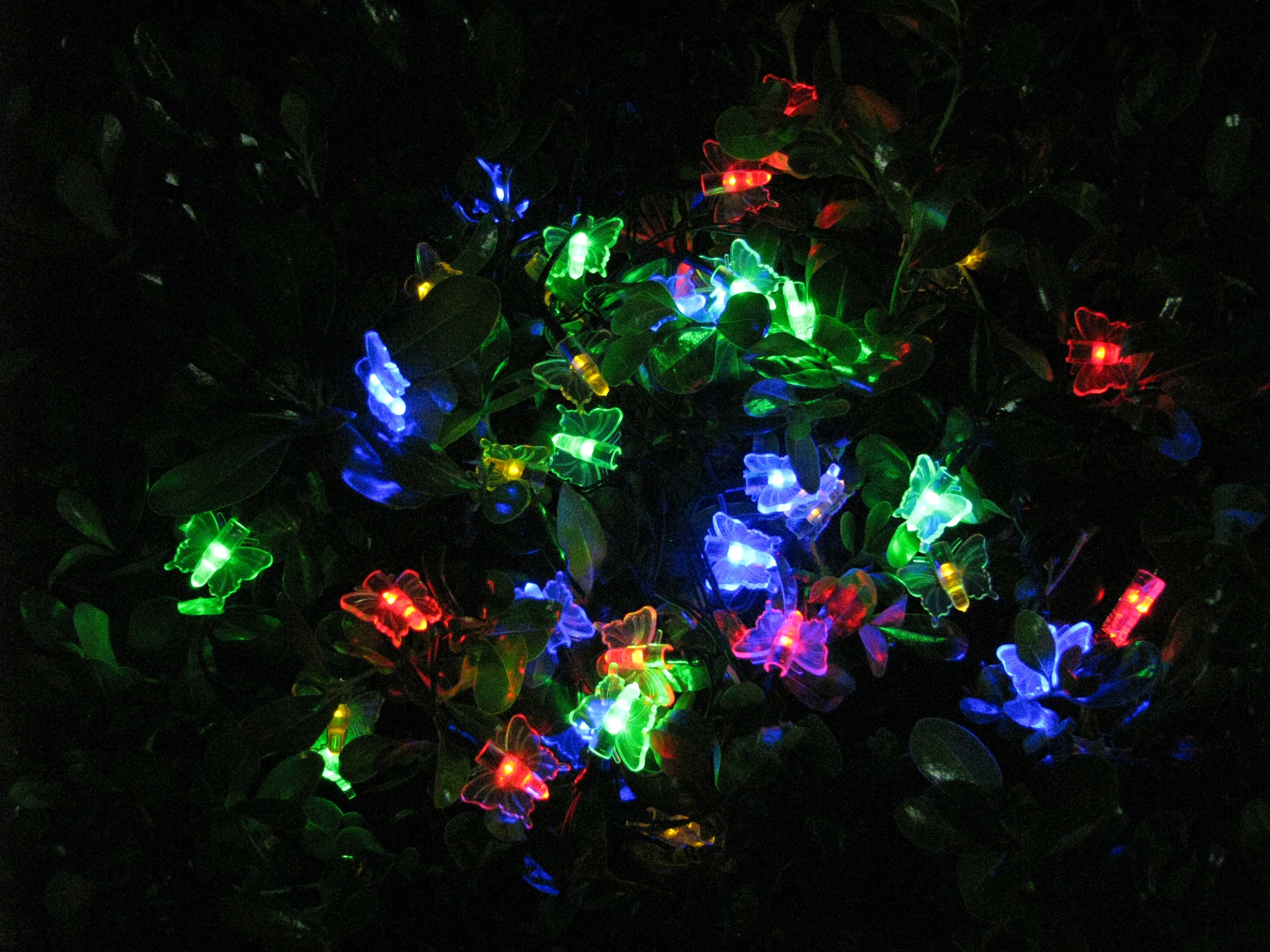 СТАРТ  САД 35Лед Бабочки - 24