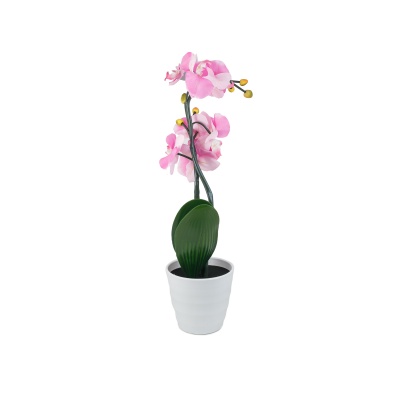 Декоративный светильник СТАРТ LED "Орхидея2" розовый
