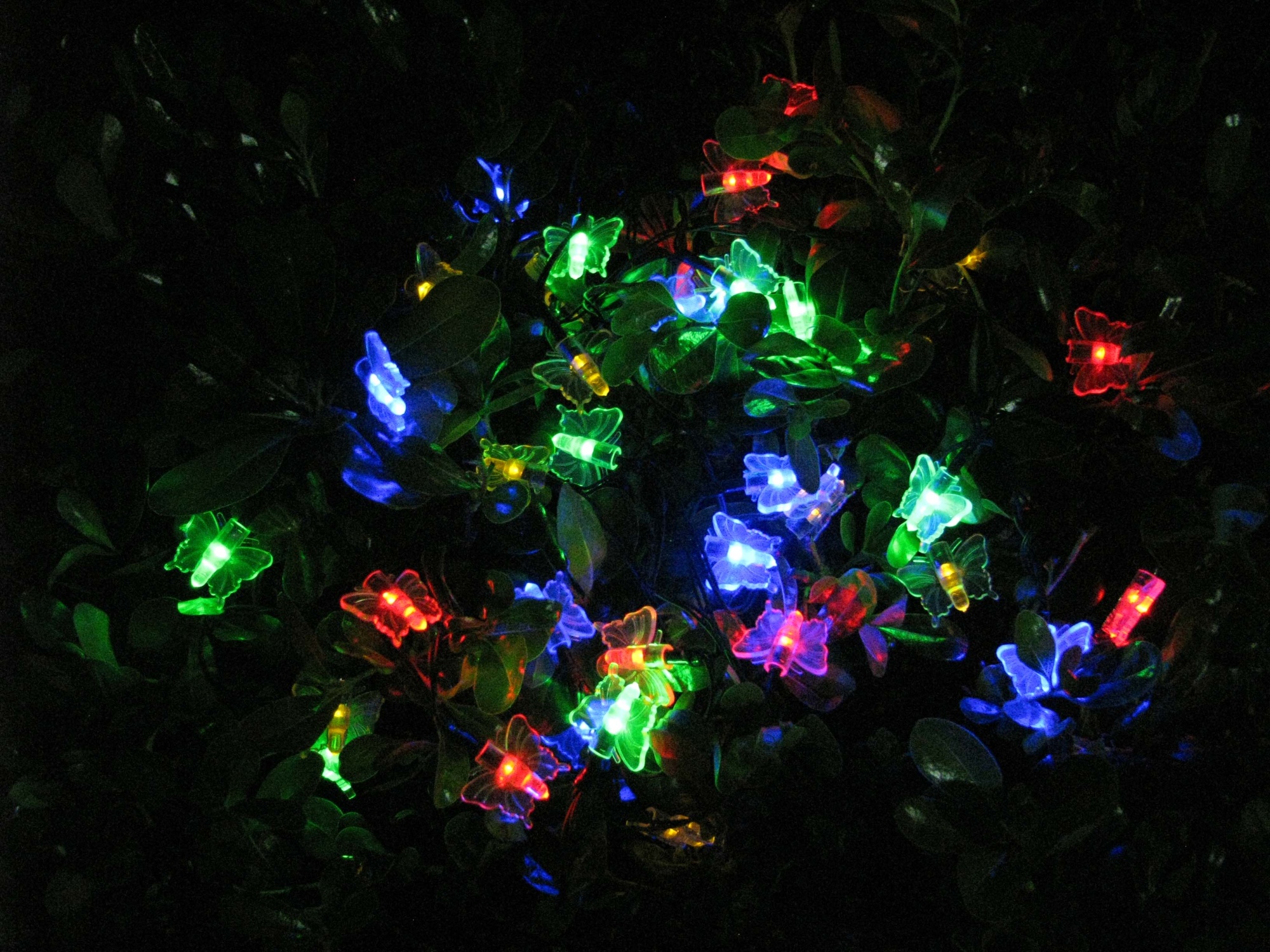 СТАРТ  САД 35LED Бабочки - 24